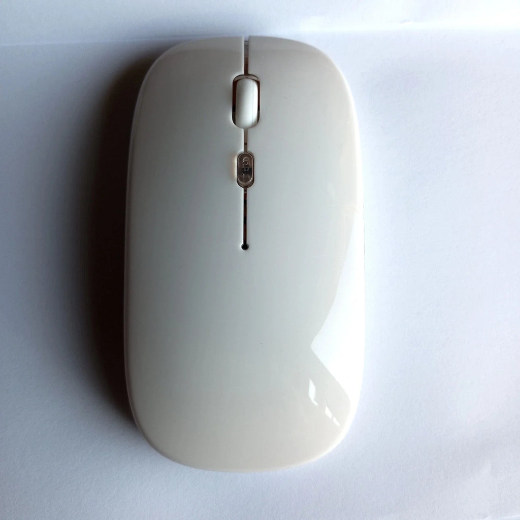 Belaidė 2.4G RGB pelė balta
Bluetooth ir USB Įkraunama