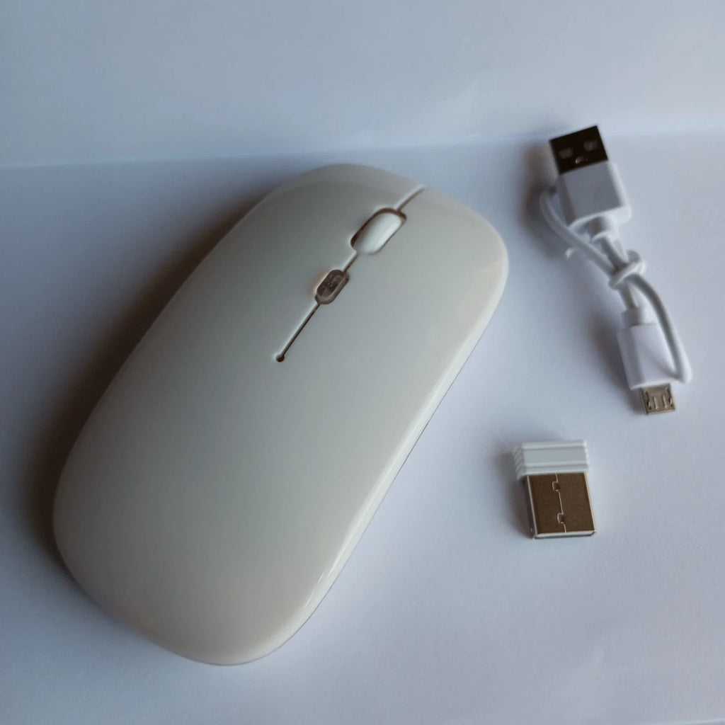 Belaidė 2.4G RGB pelė – tylus mygtukų paspaudimas, įkraunama, USB + Bluetooth, PC / Laptop / iPad