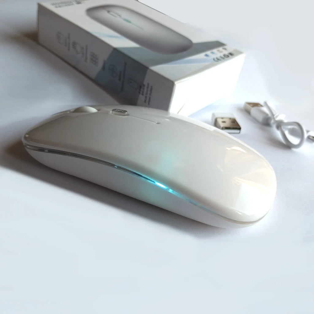 Belaidė 2.4G RGB pelė – tylus mygtukų paspaudimas, įkraunama, USB + Bluetooth, PC / Laptop / iPad