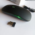 RGB sidabrinė
Bluetooth ir USB belaidė pelė